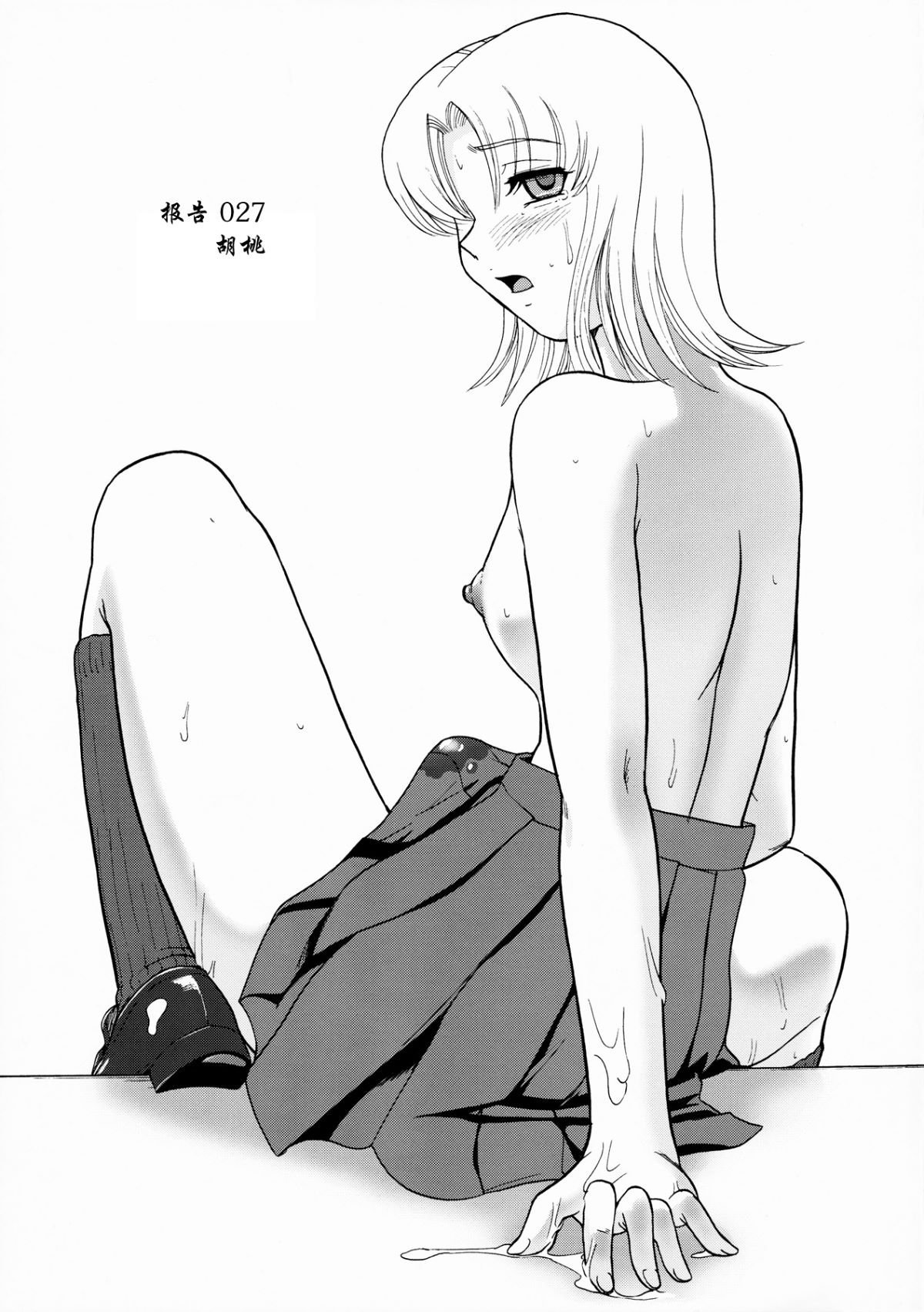 SaHa_Dulce_Report_BMD_10_04_