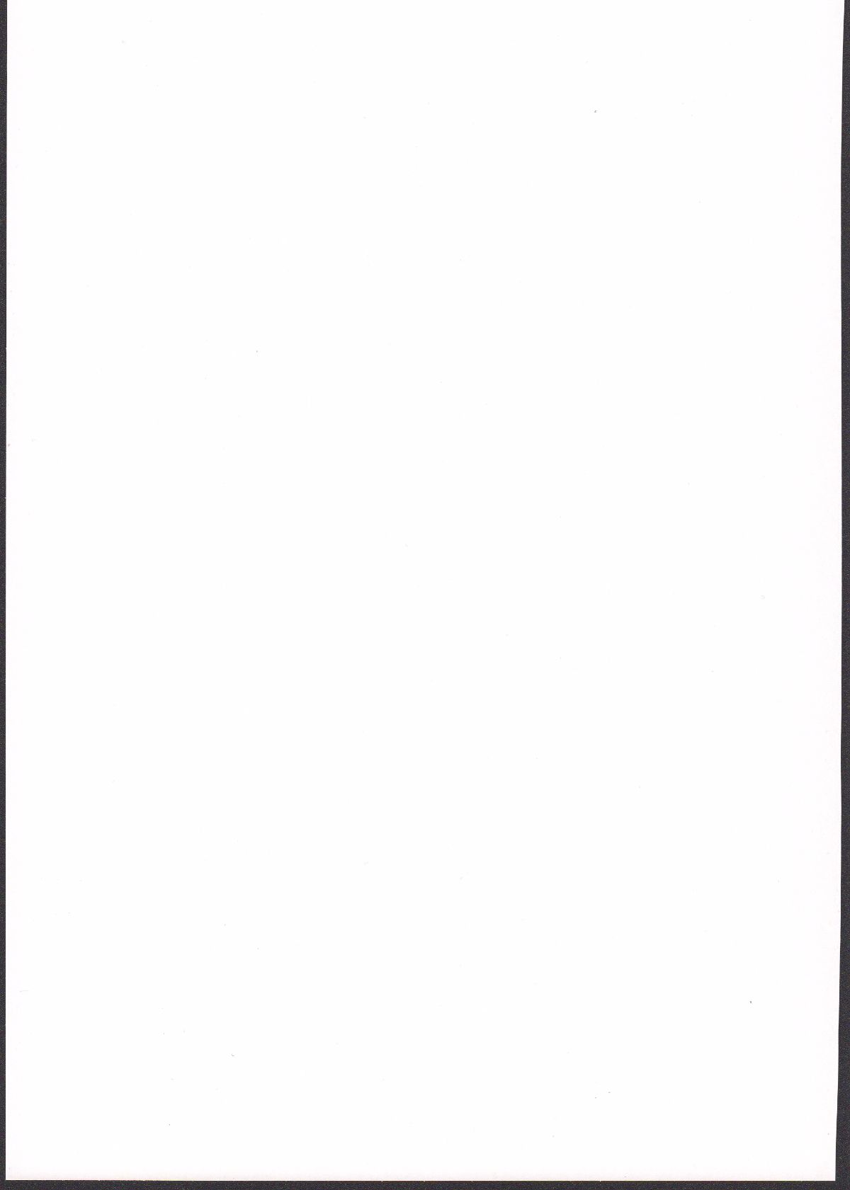 019