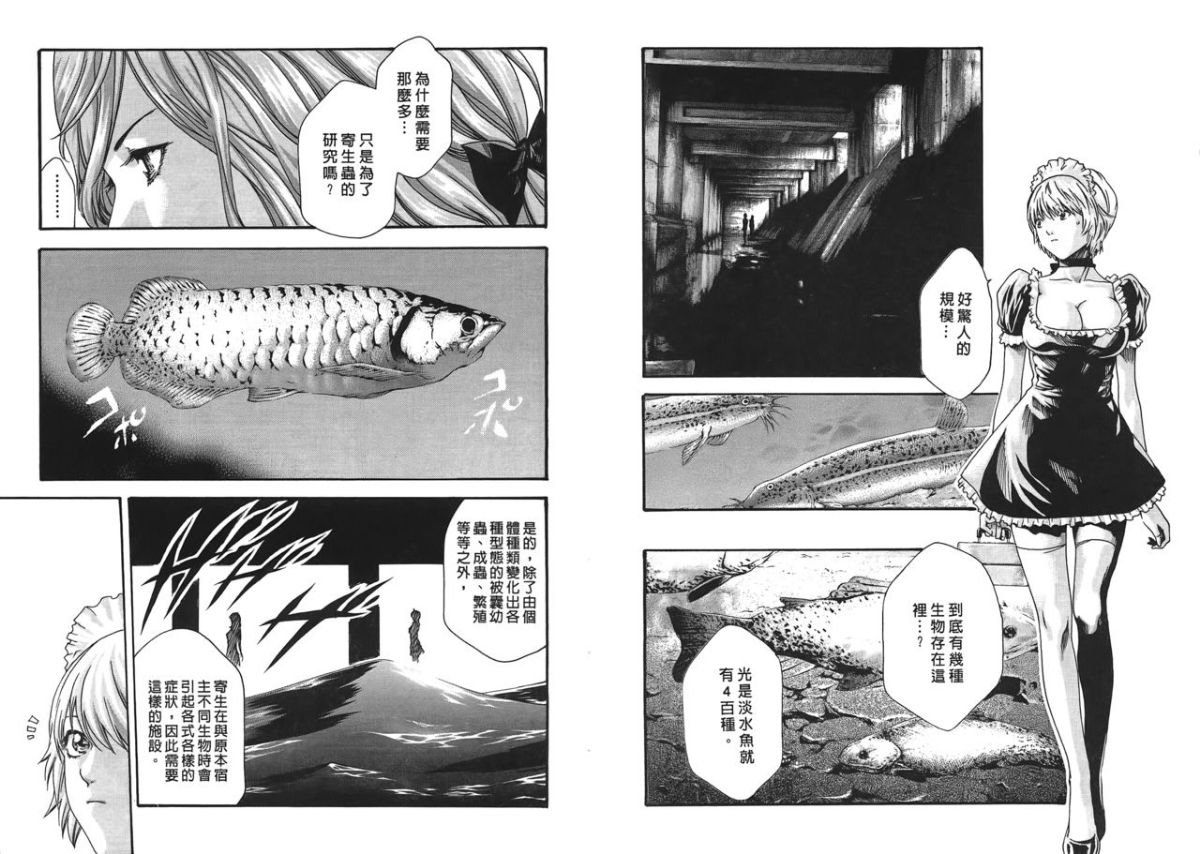 33