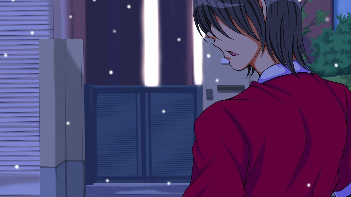 509_notext_13_2