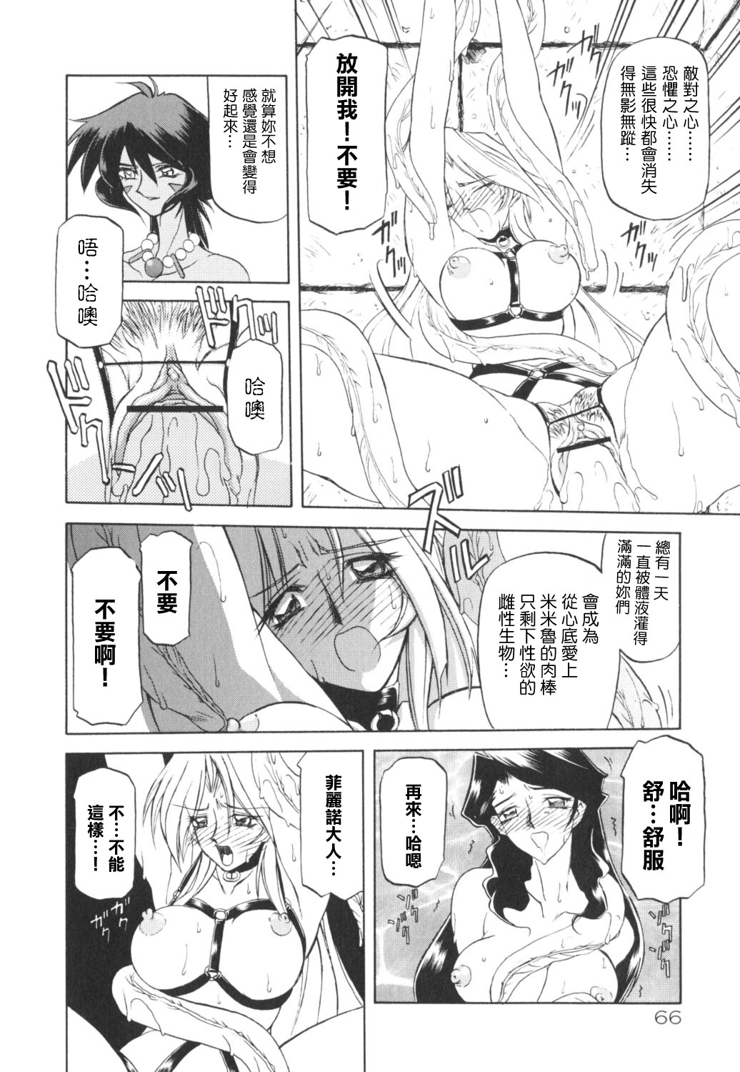 HMSection9_007_066