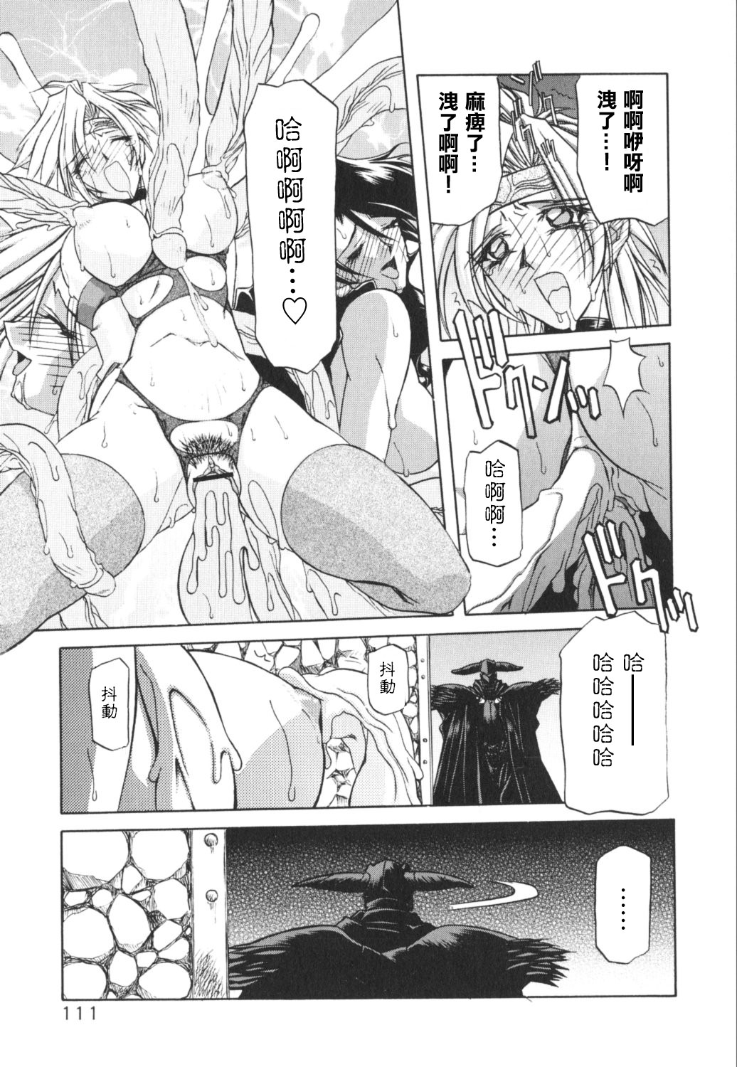 HMSection9_007_111