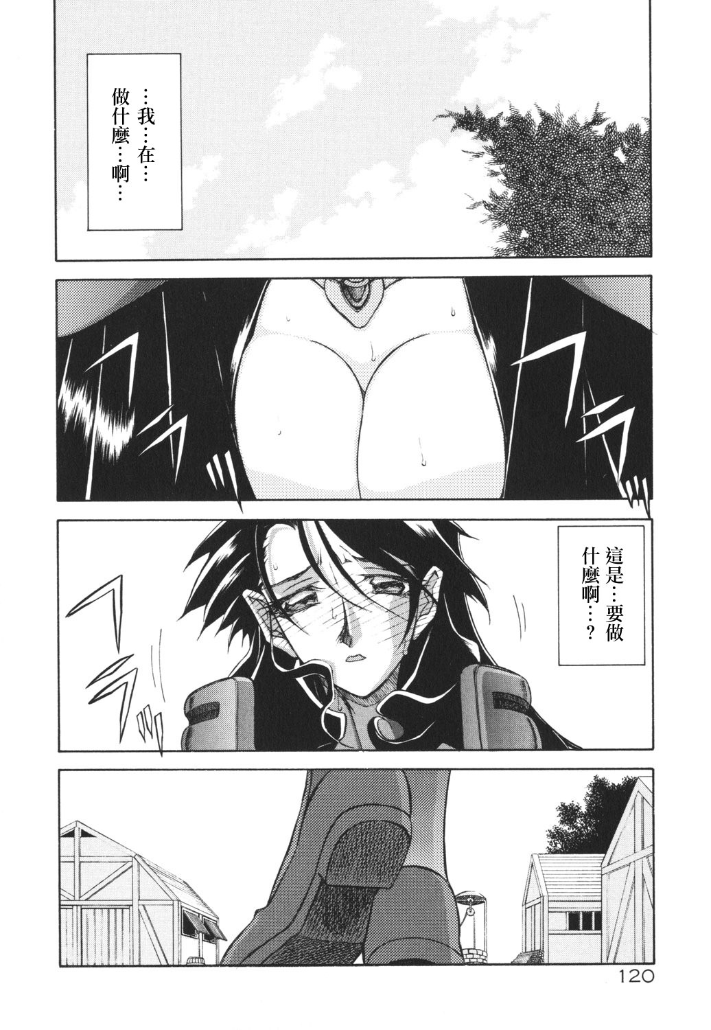 HMSection9_007_120