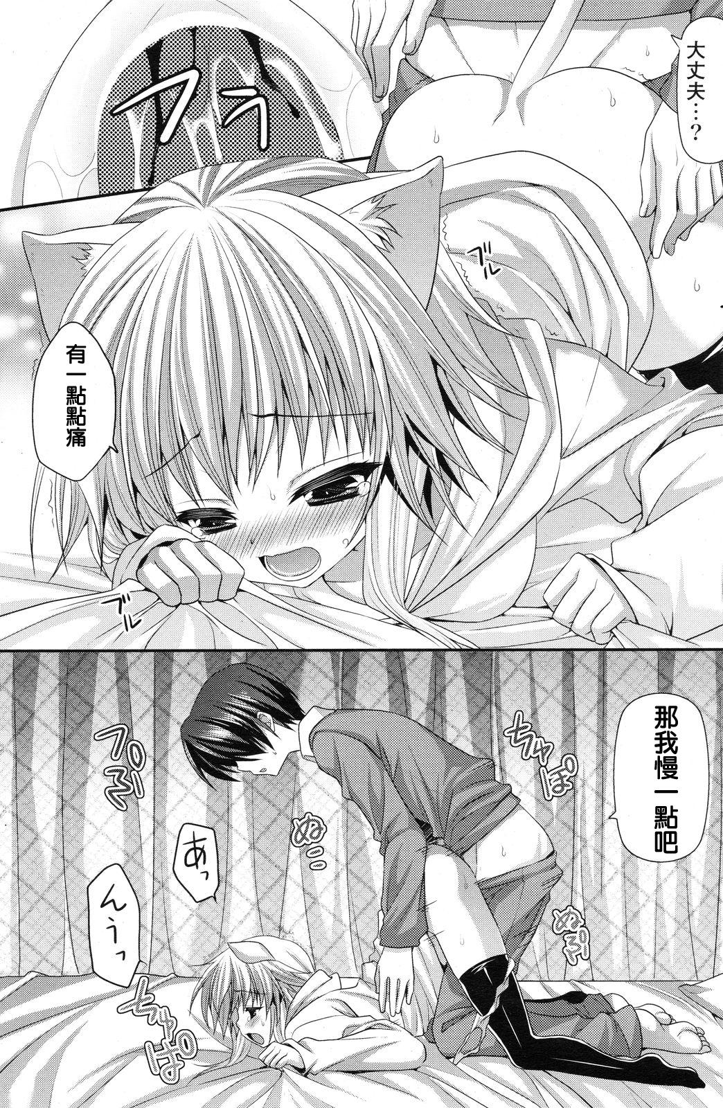 (11)