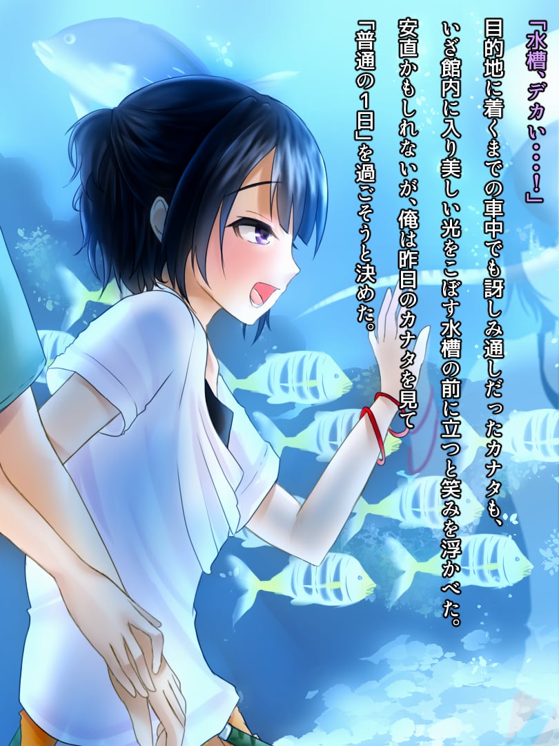 055_novel54