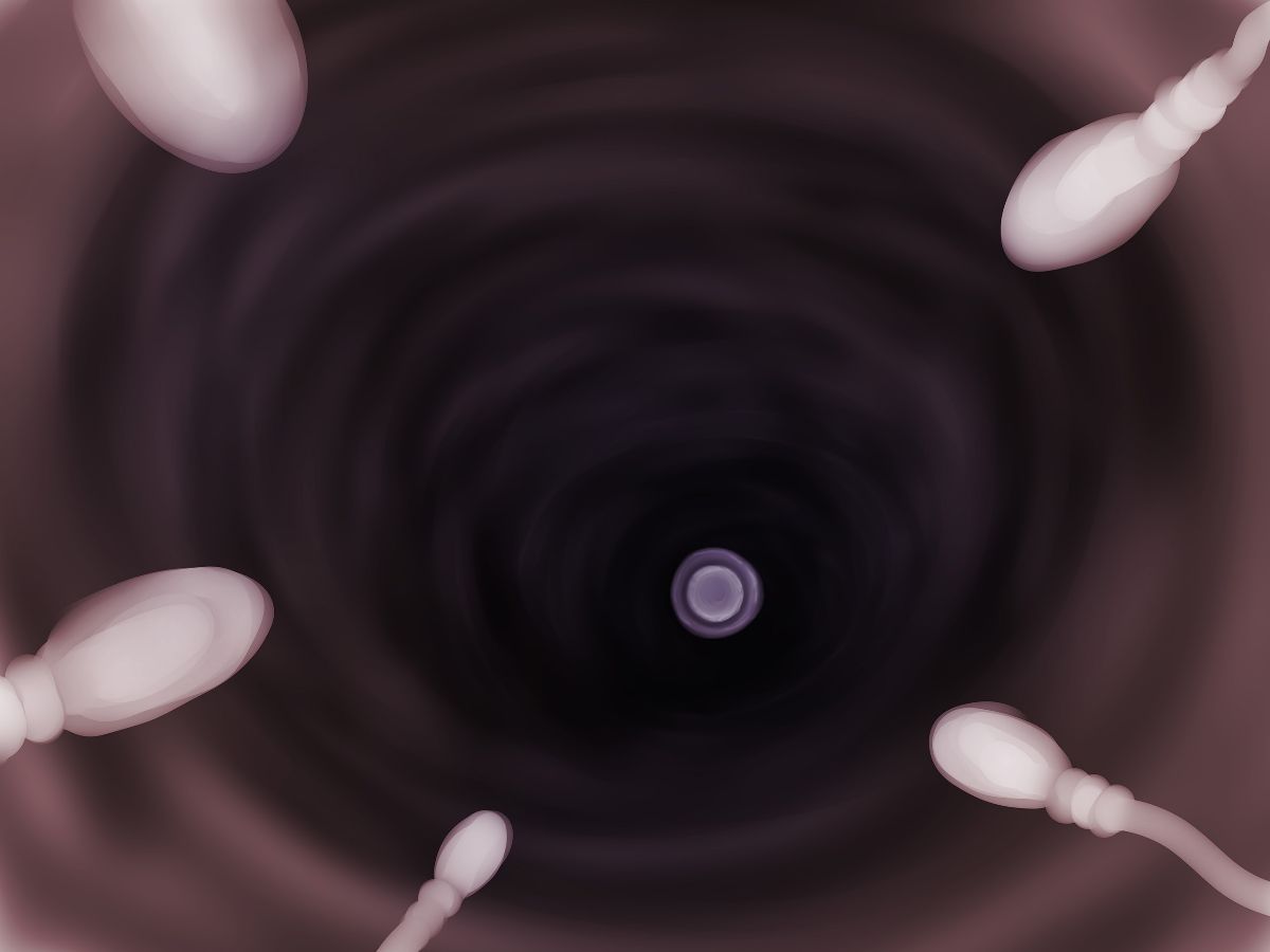499_n7_12a