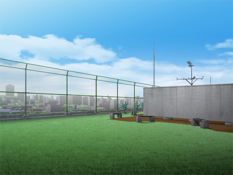 0246_cmnbg0540