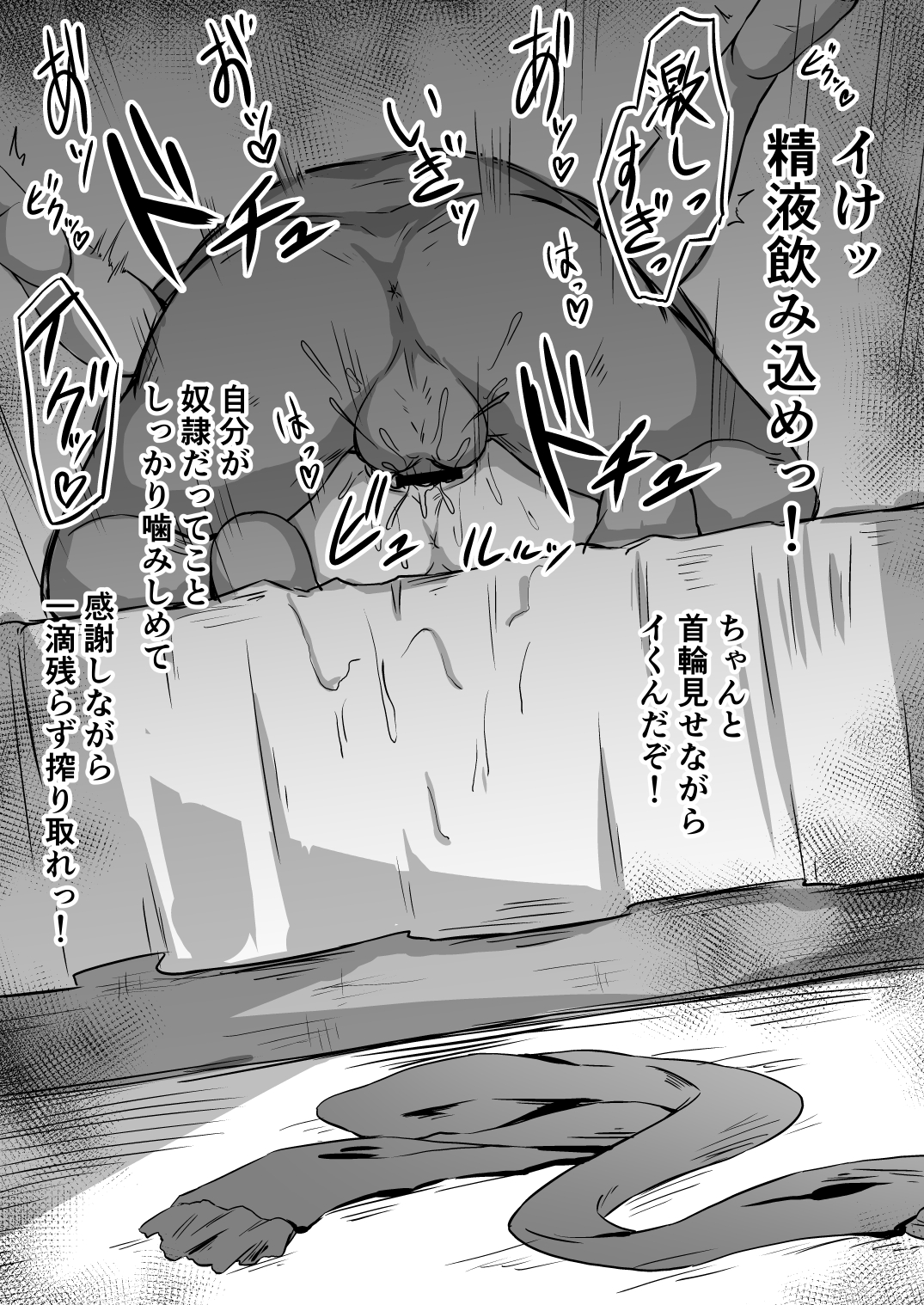 12_65213072_p1_NTR04