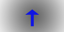 1036