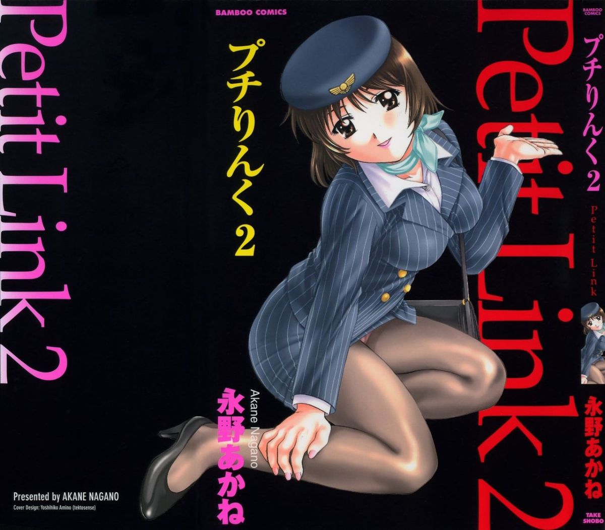petitlink2_000c1