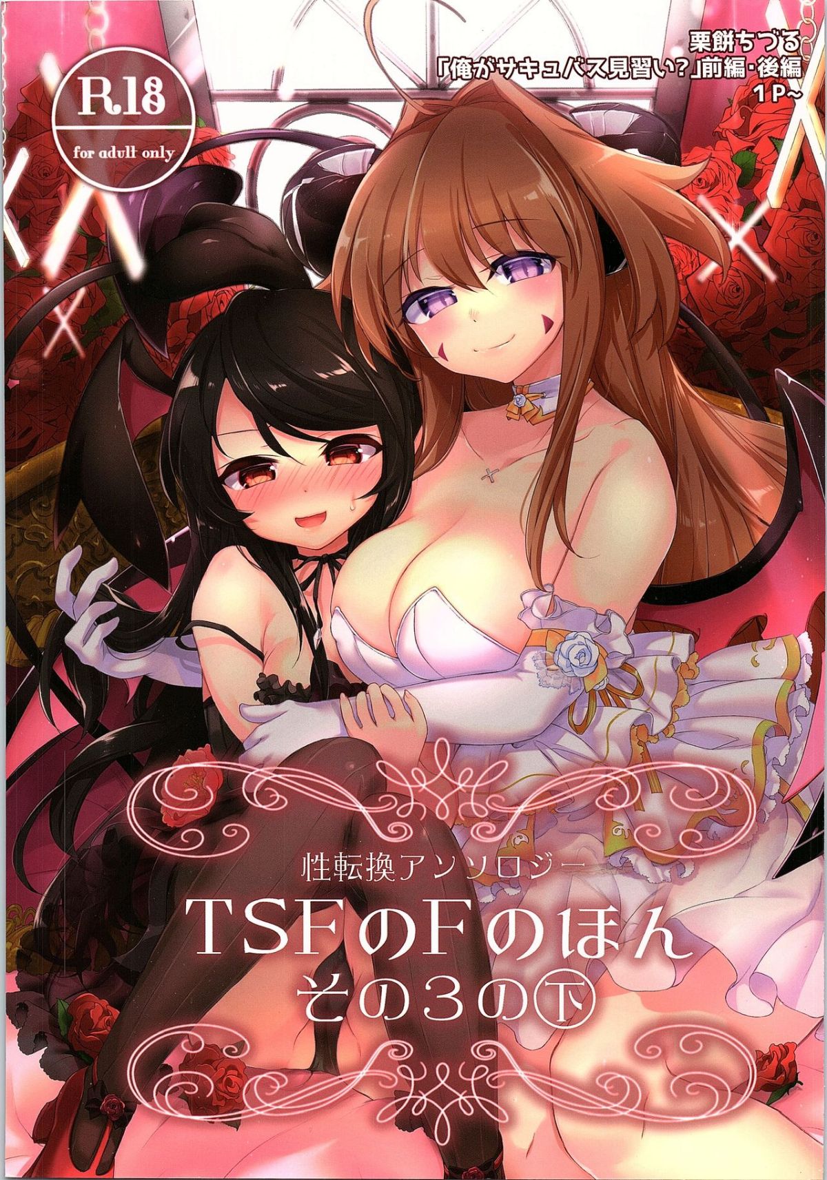 HS3.2_001