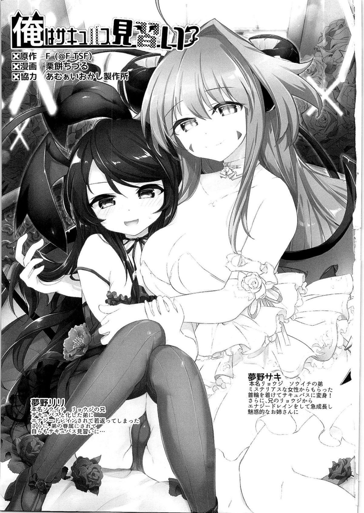 HS3.2_002