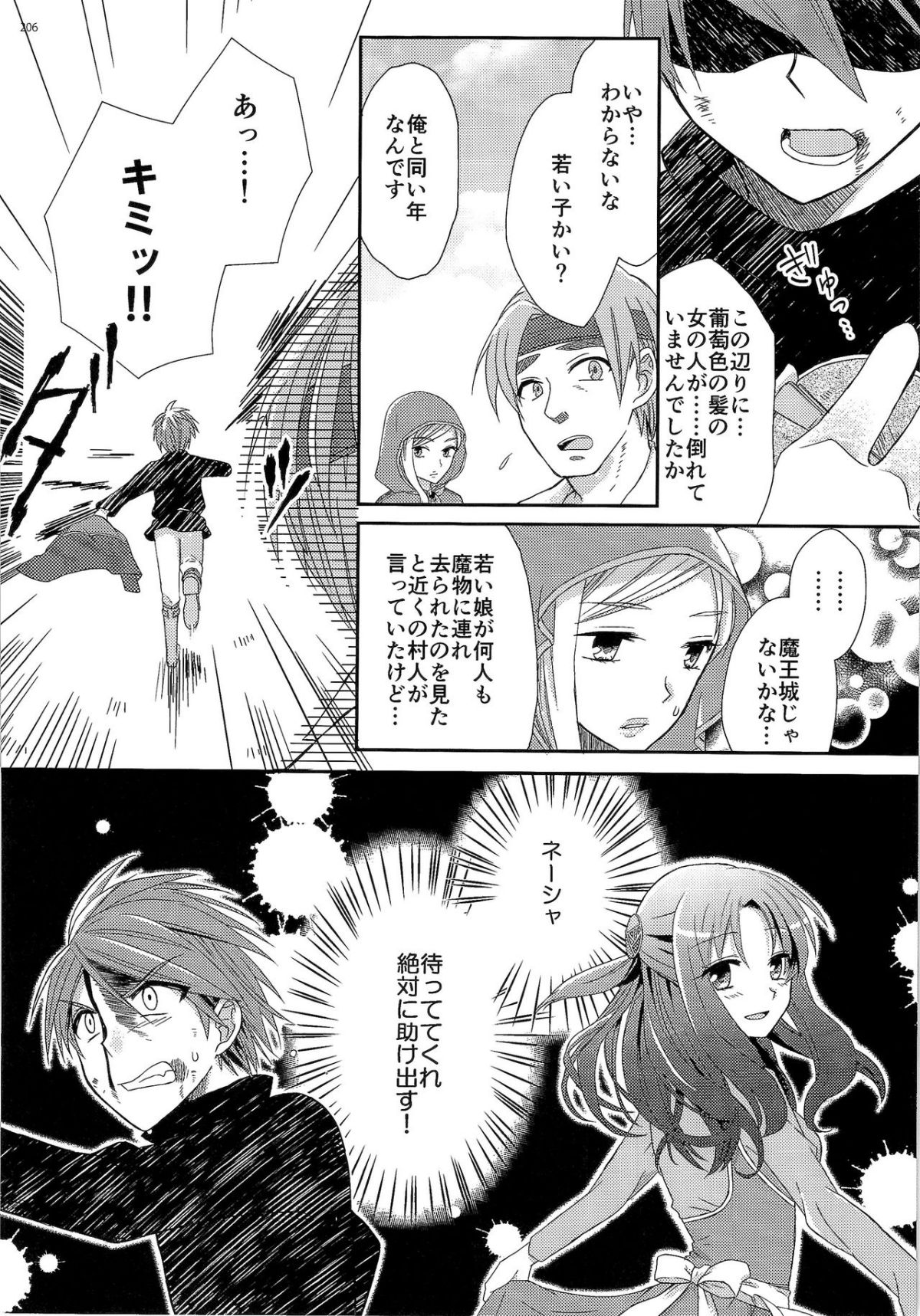 HS3.2_205
