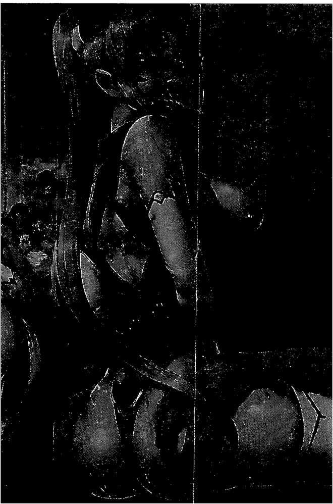 20160602_063301_081