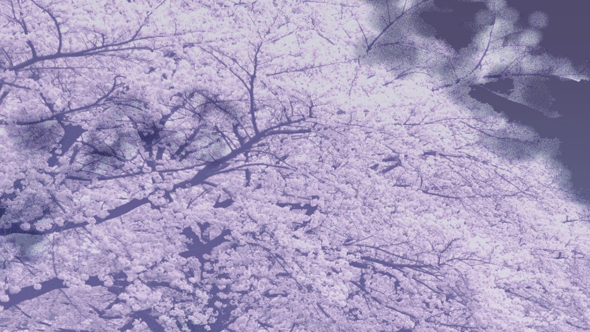 HS003_E_066