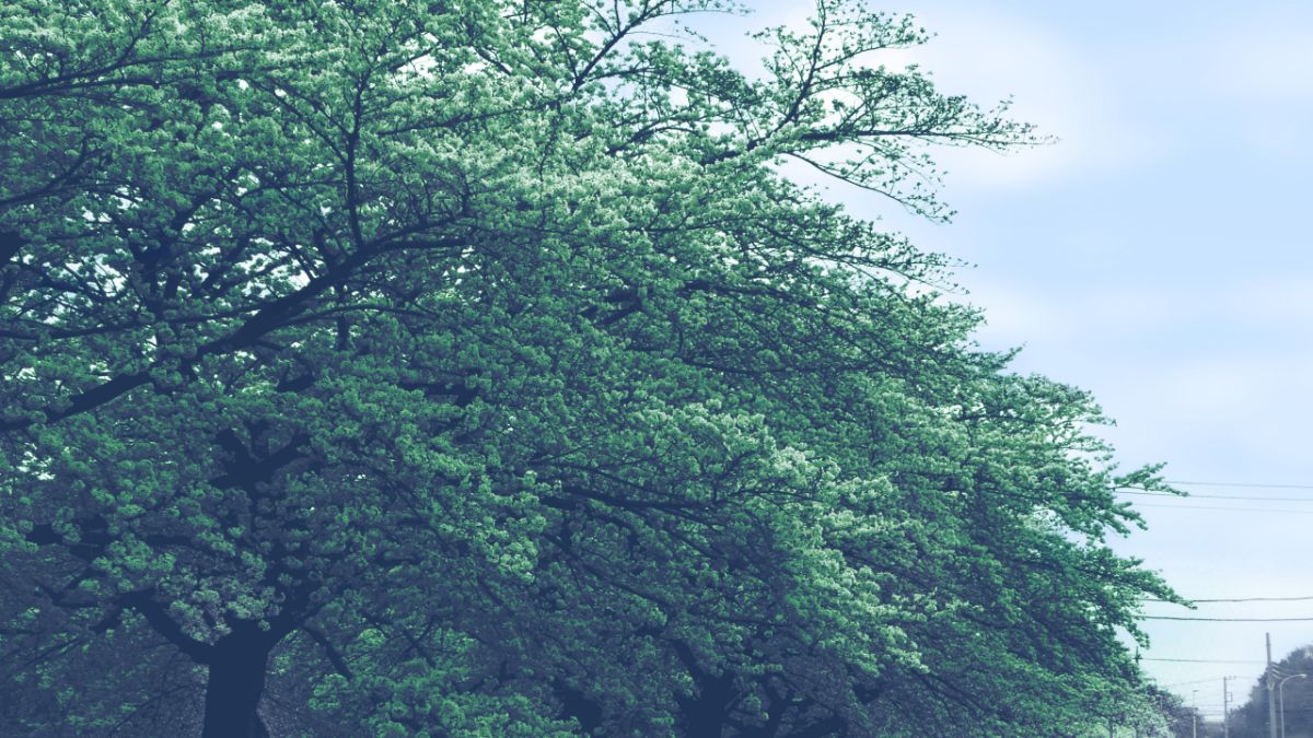 HS003_E_155