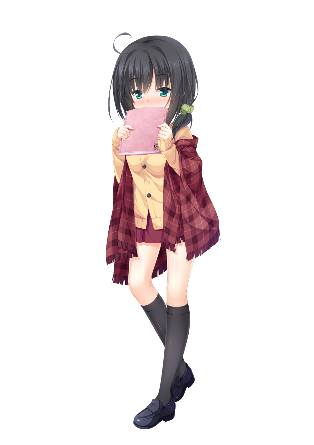 455_hinaho_001f