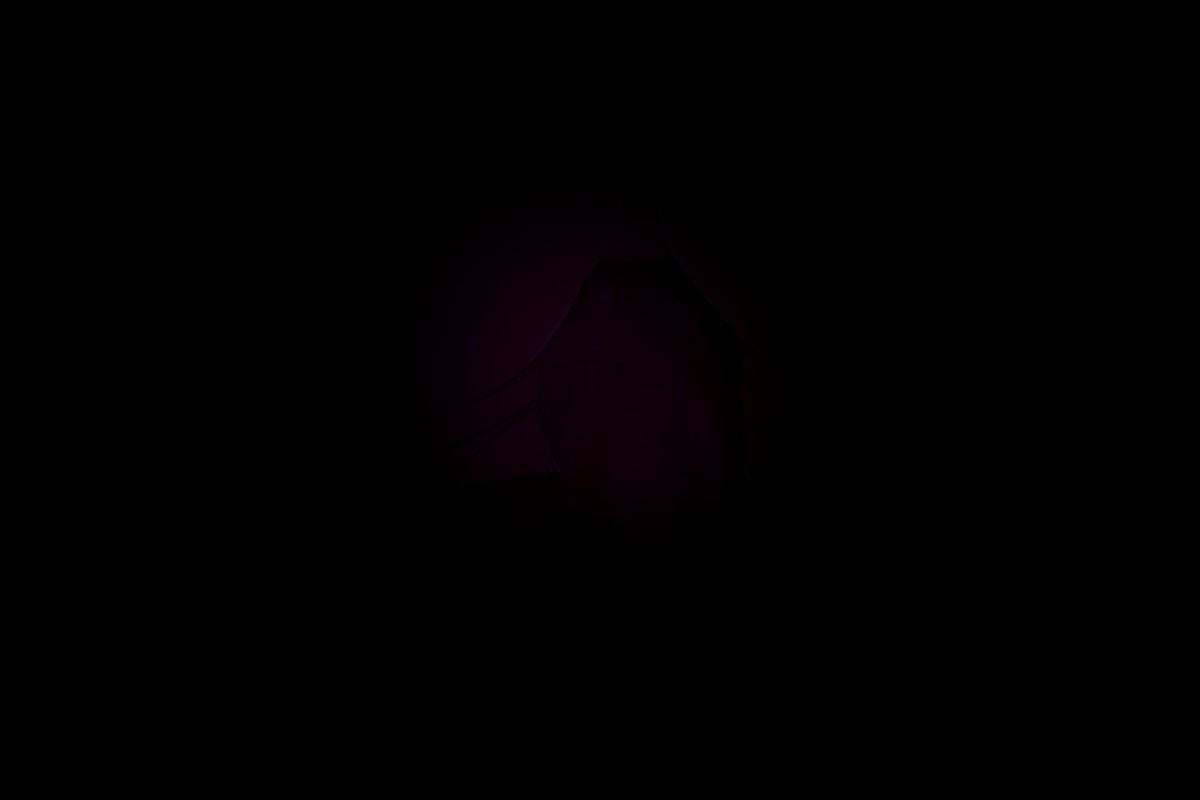 0061