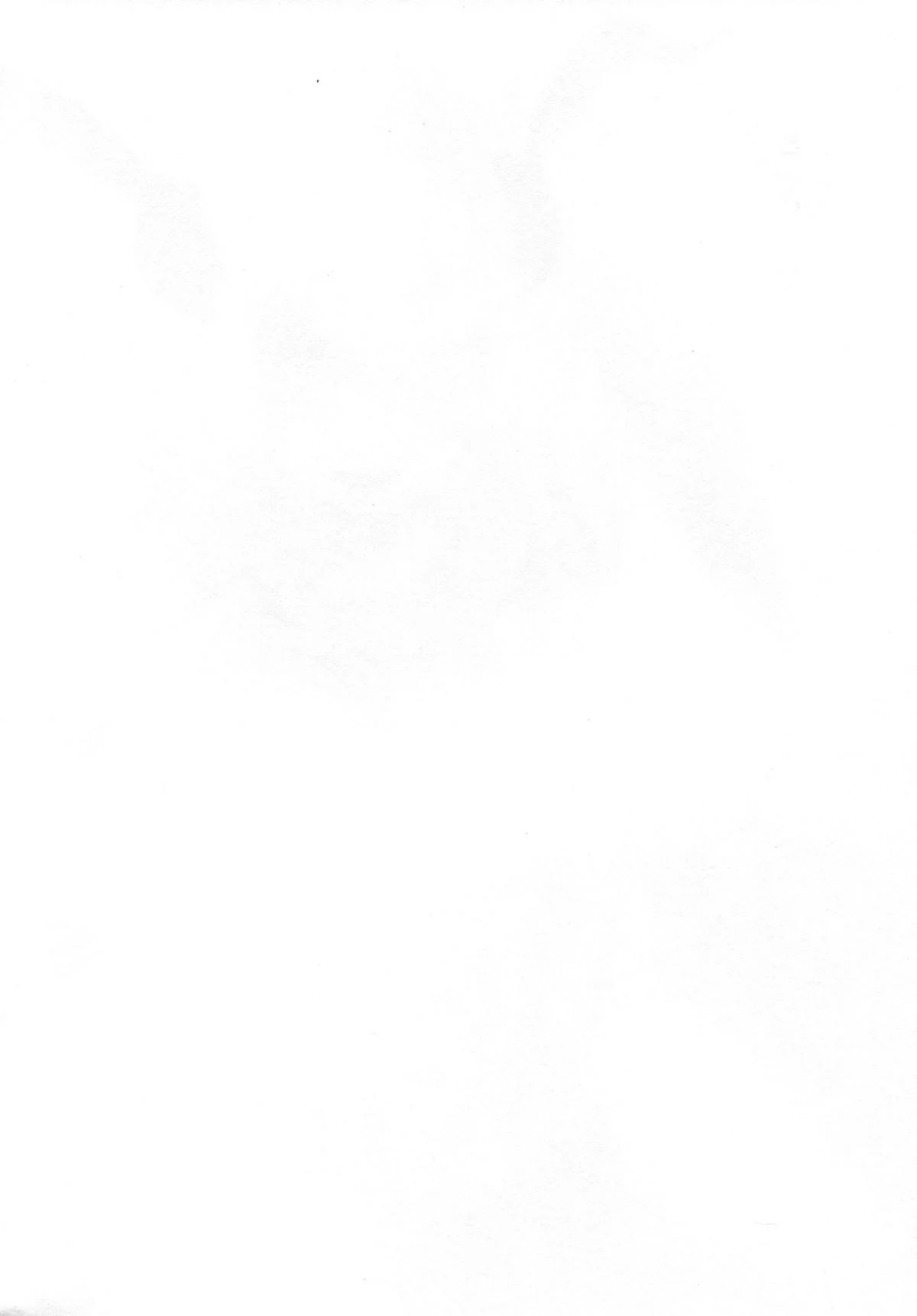 MJK_18_T1313_004