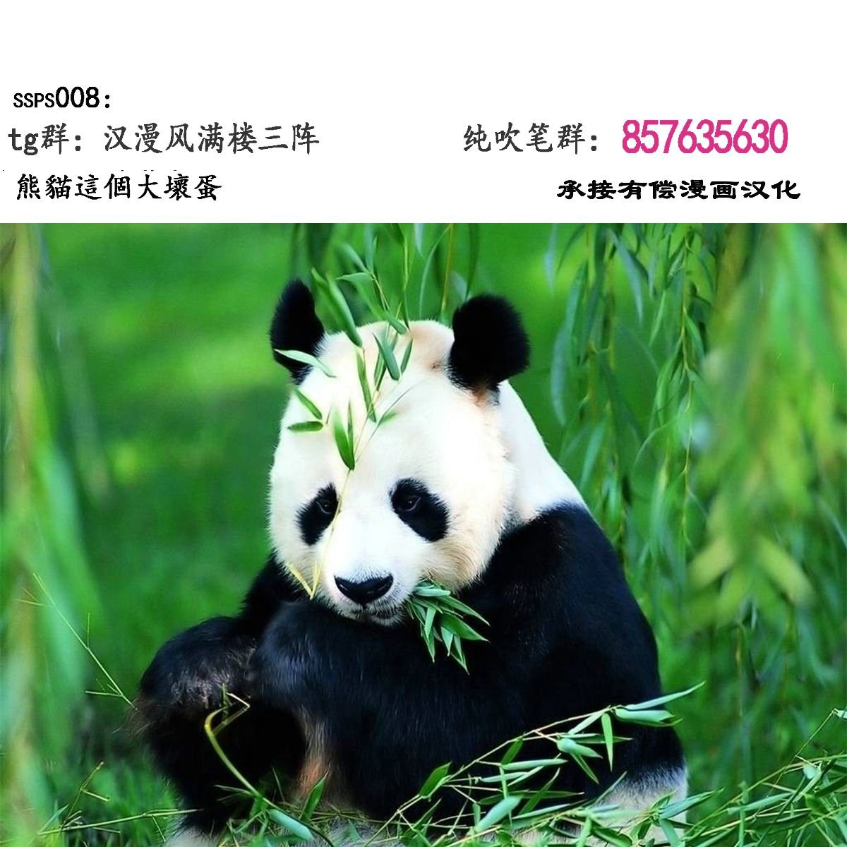 未标题-1