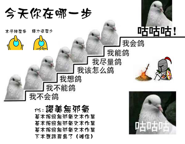 太陽鴿子