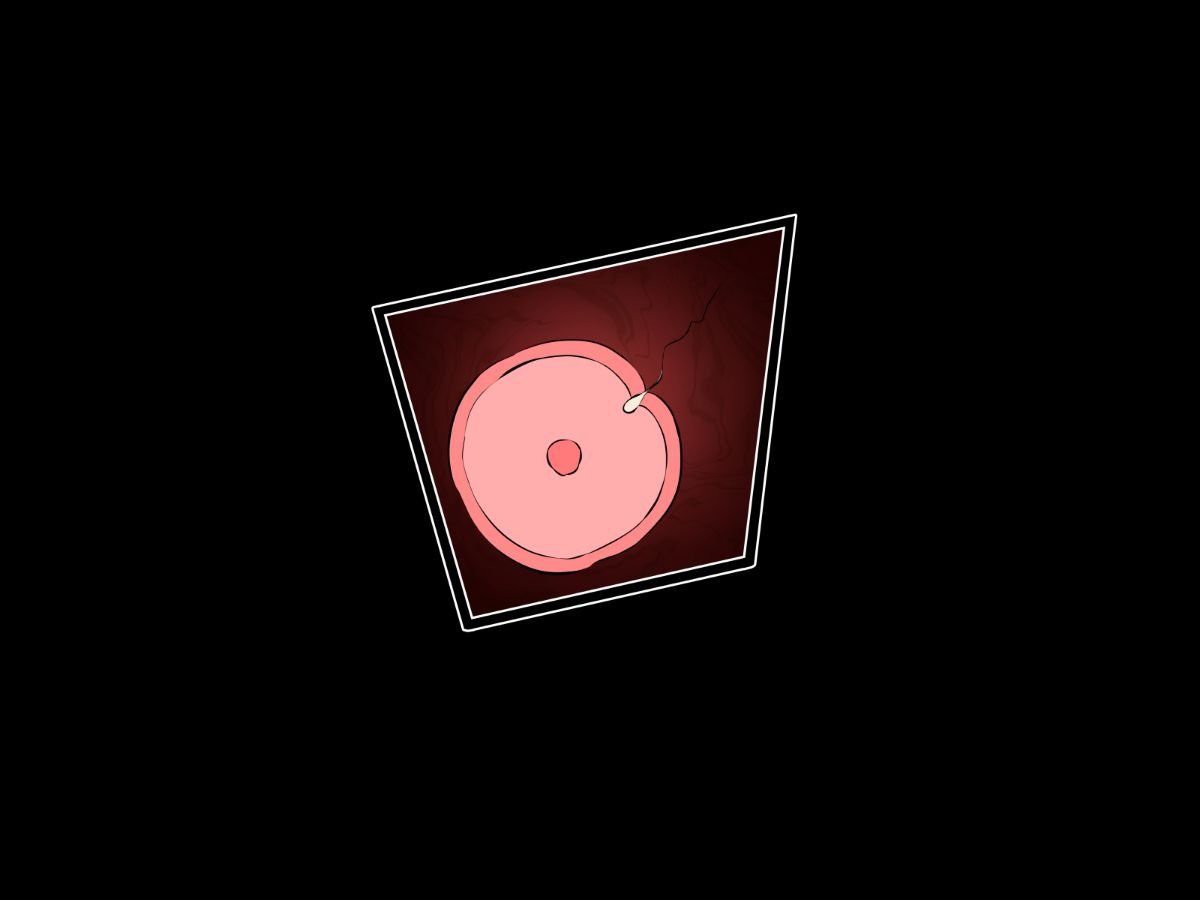 331_120_n04