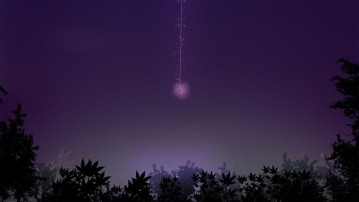 notext0102