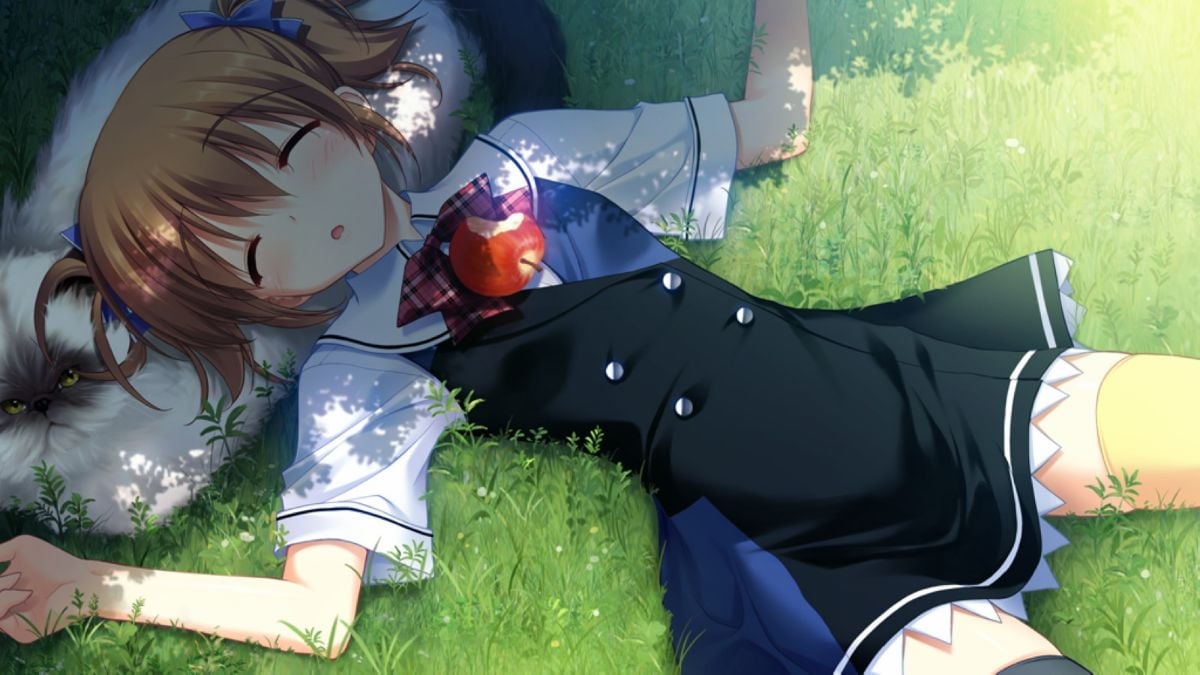灰色的果实 (263)