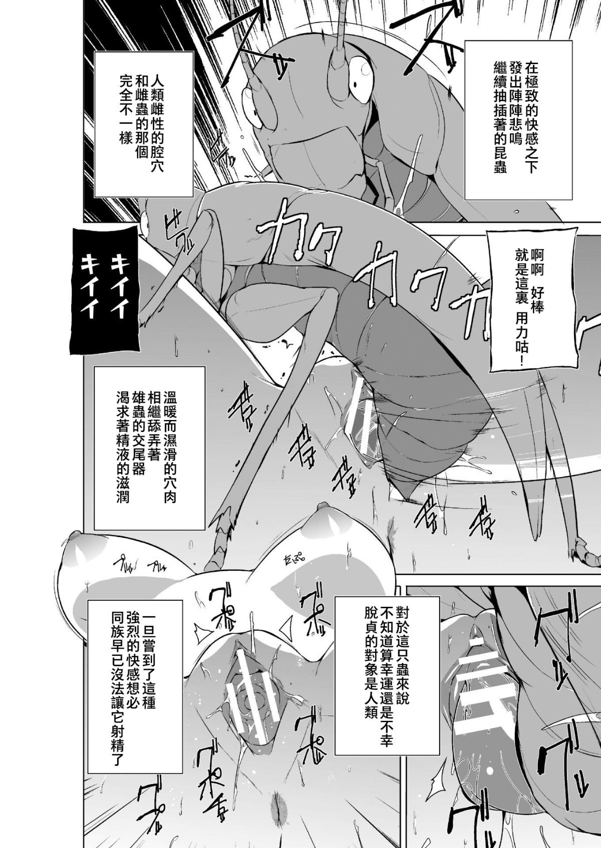 img (12)