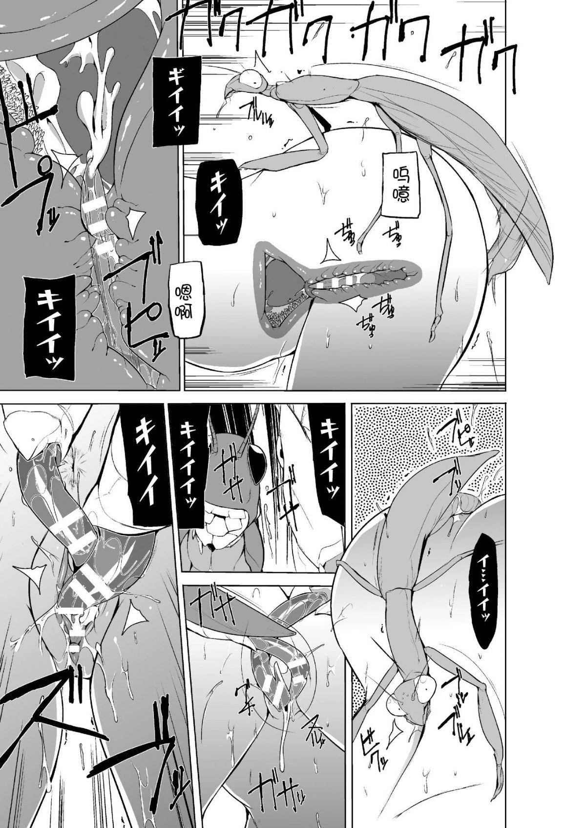 img (19)
