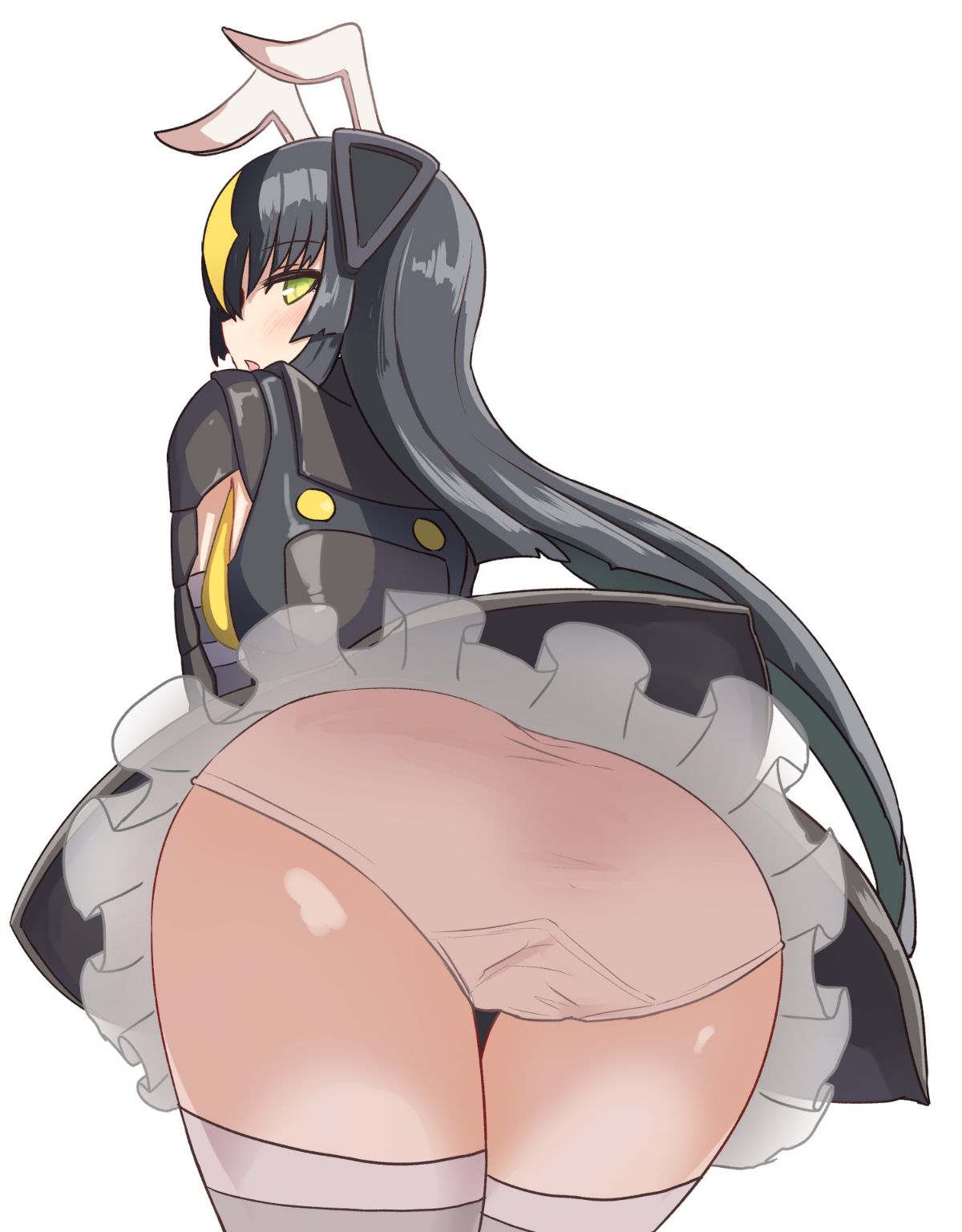 003