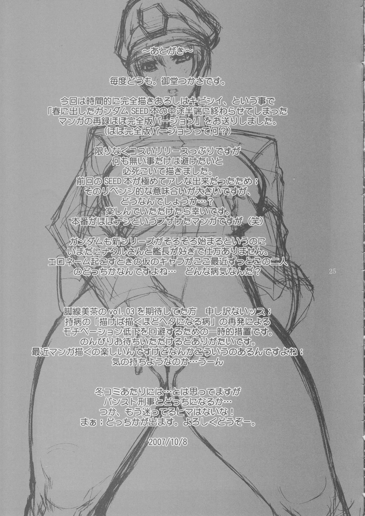 P_Fleet_24