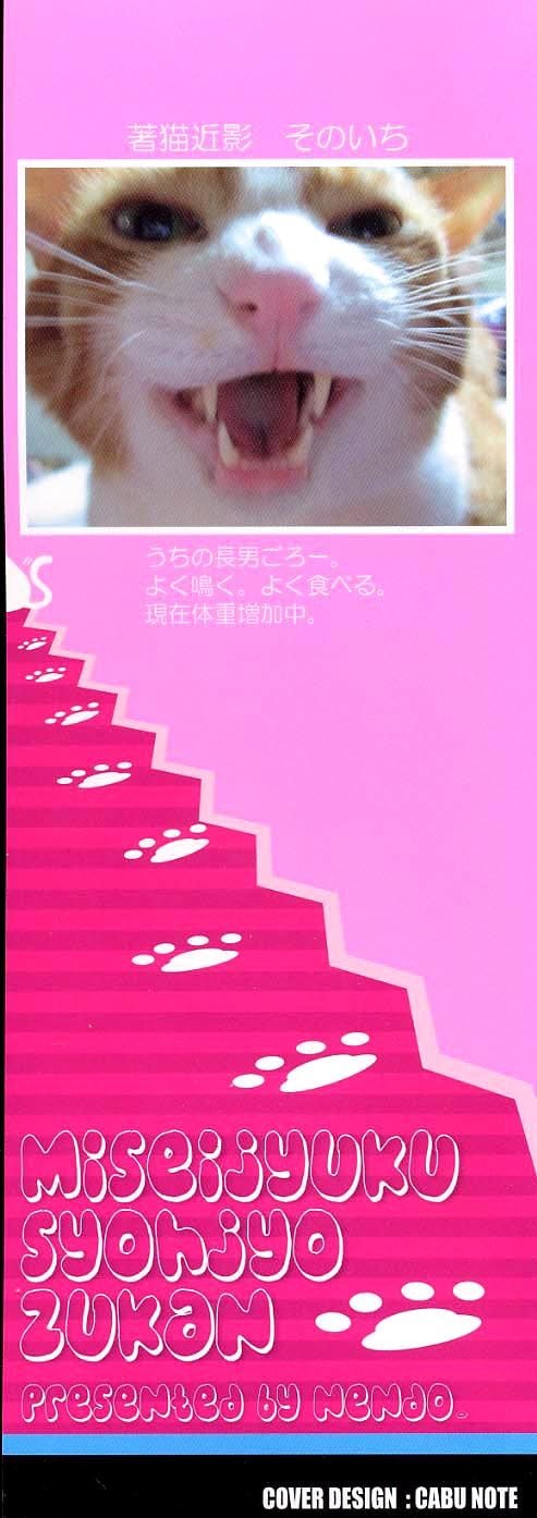 003