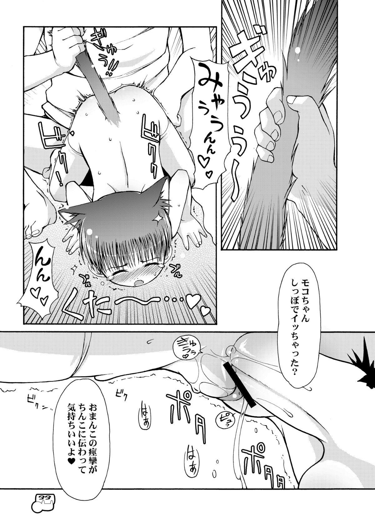 034_index_33_1