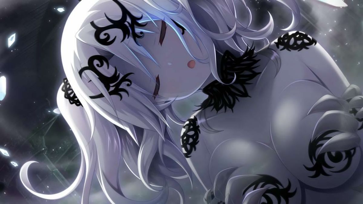 EV221BD