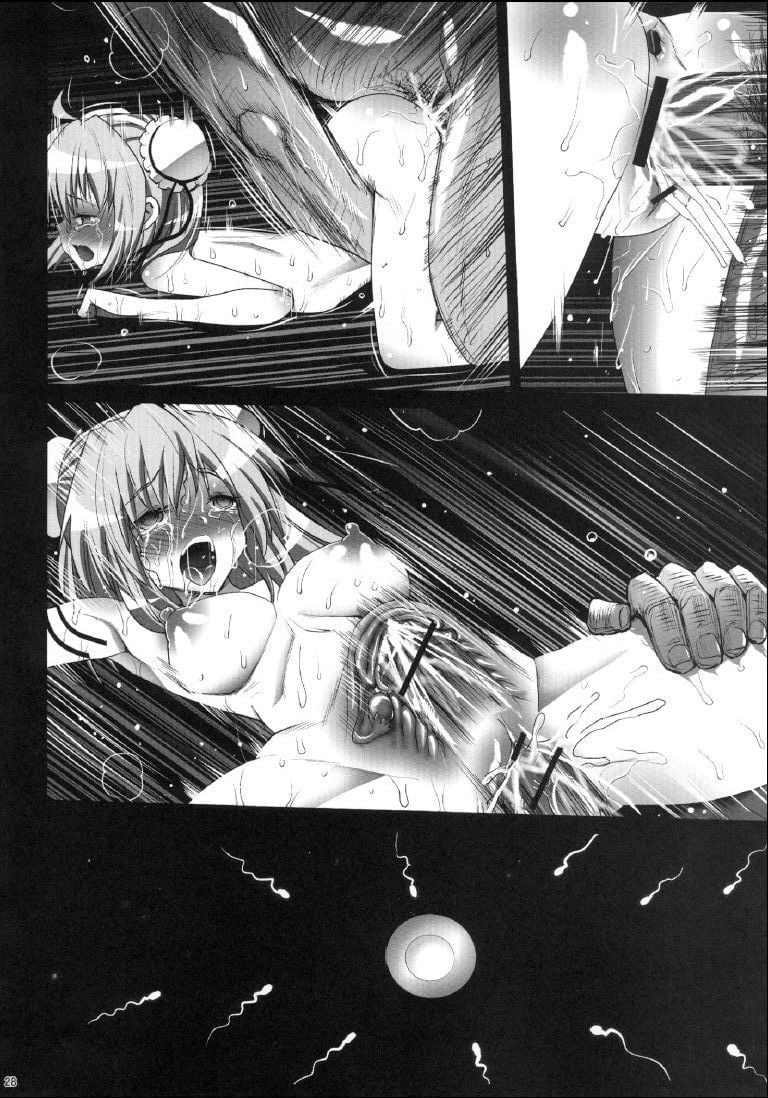 29