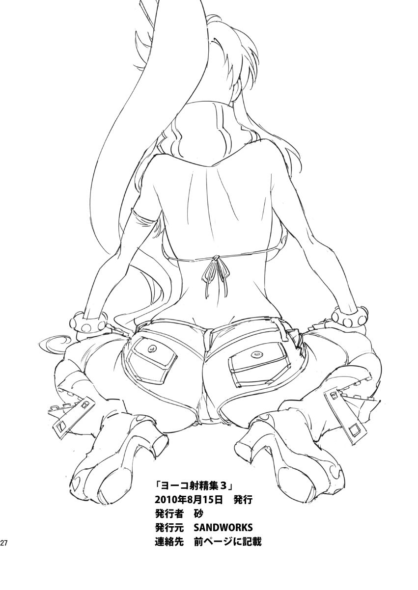 yokocum30027