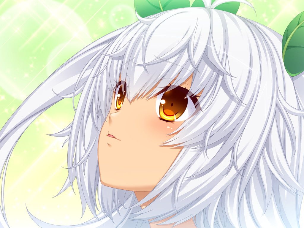 cgE-01h01
