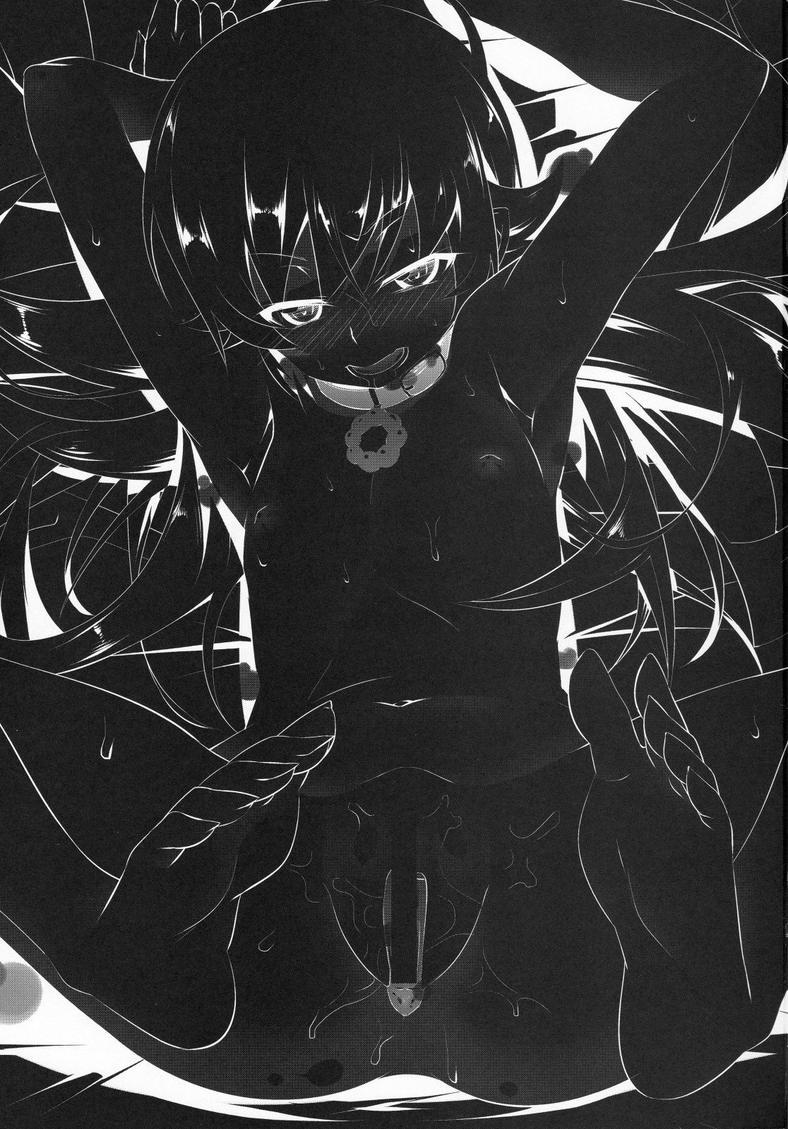 ScanImage003
