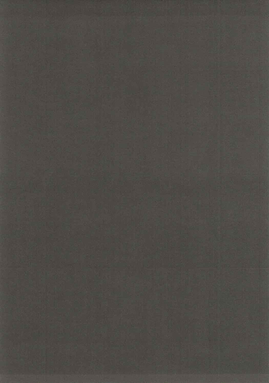 ia_2400000030