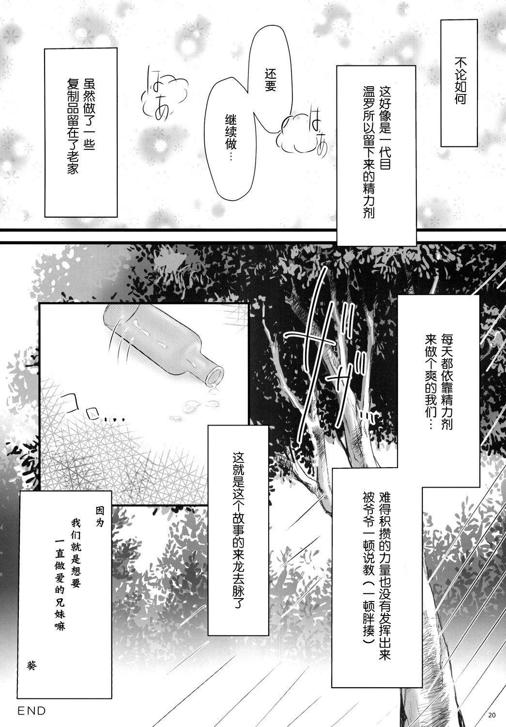 ia_4300000020
