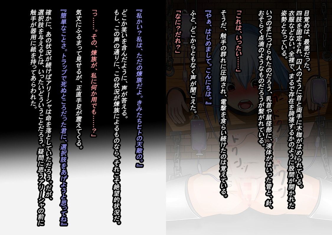 247_c_lowres_text_2_1