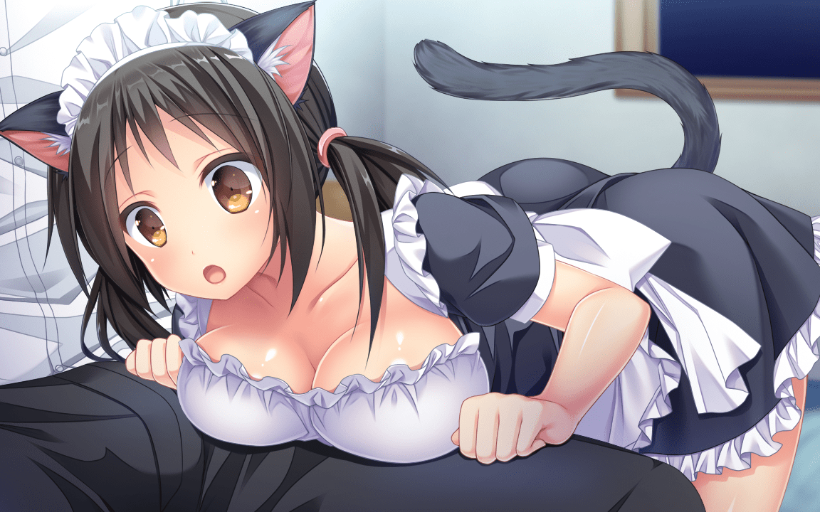 ev_ndk_04_1_14