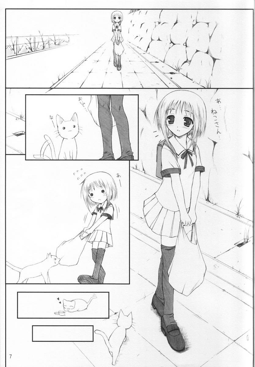 06
