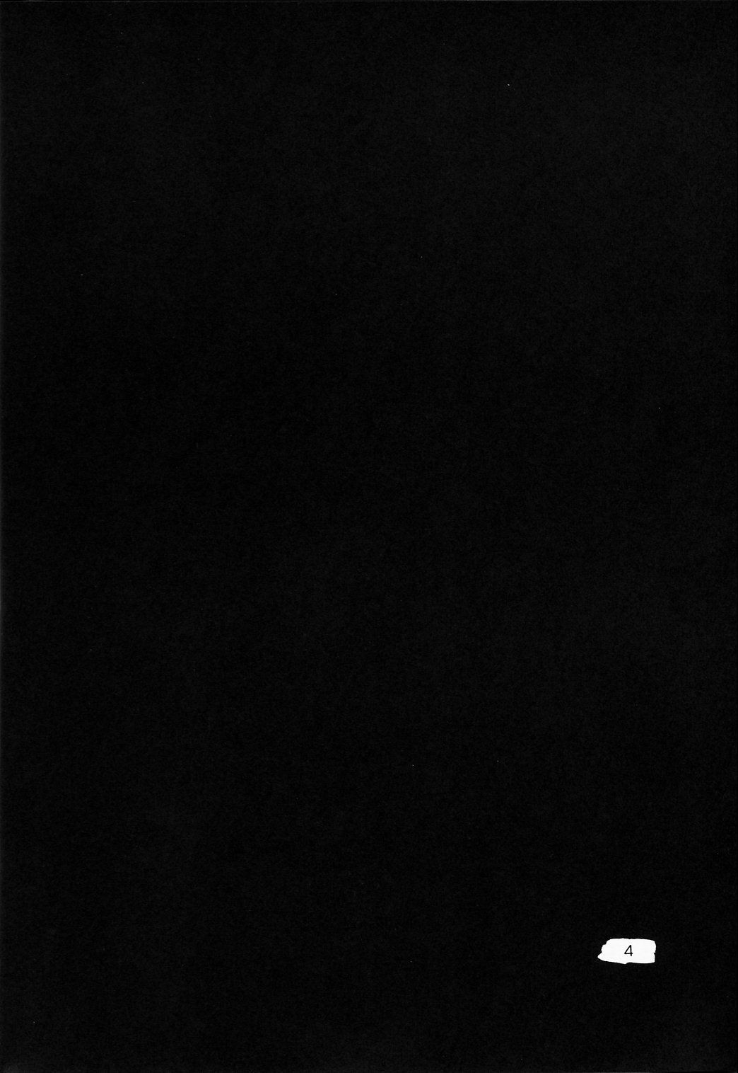 Image35