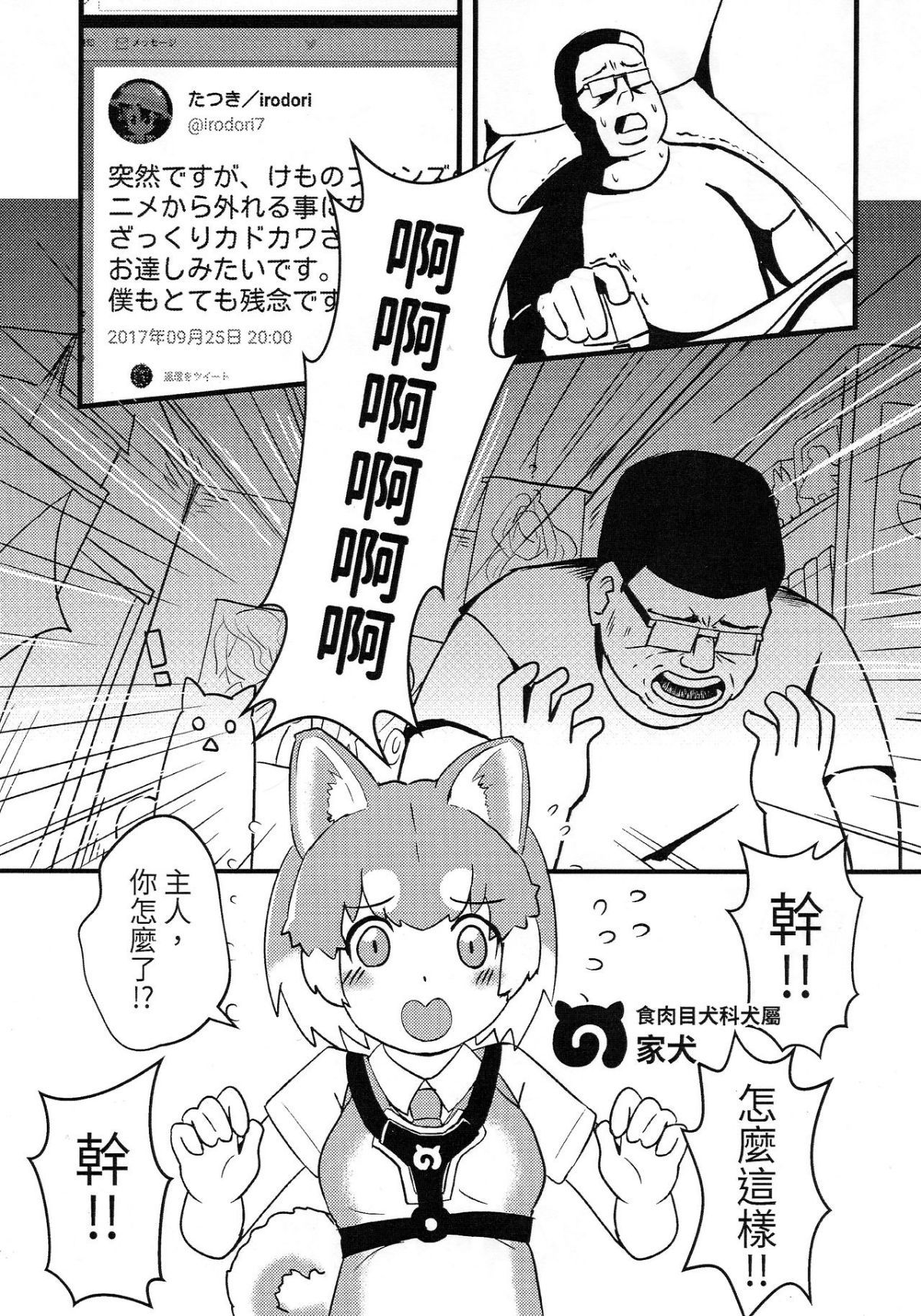 03