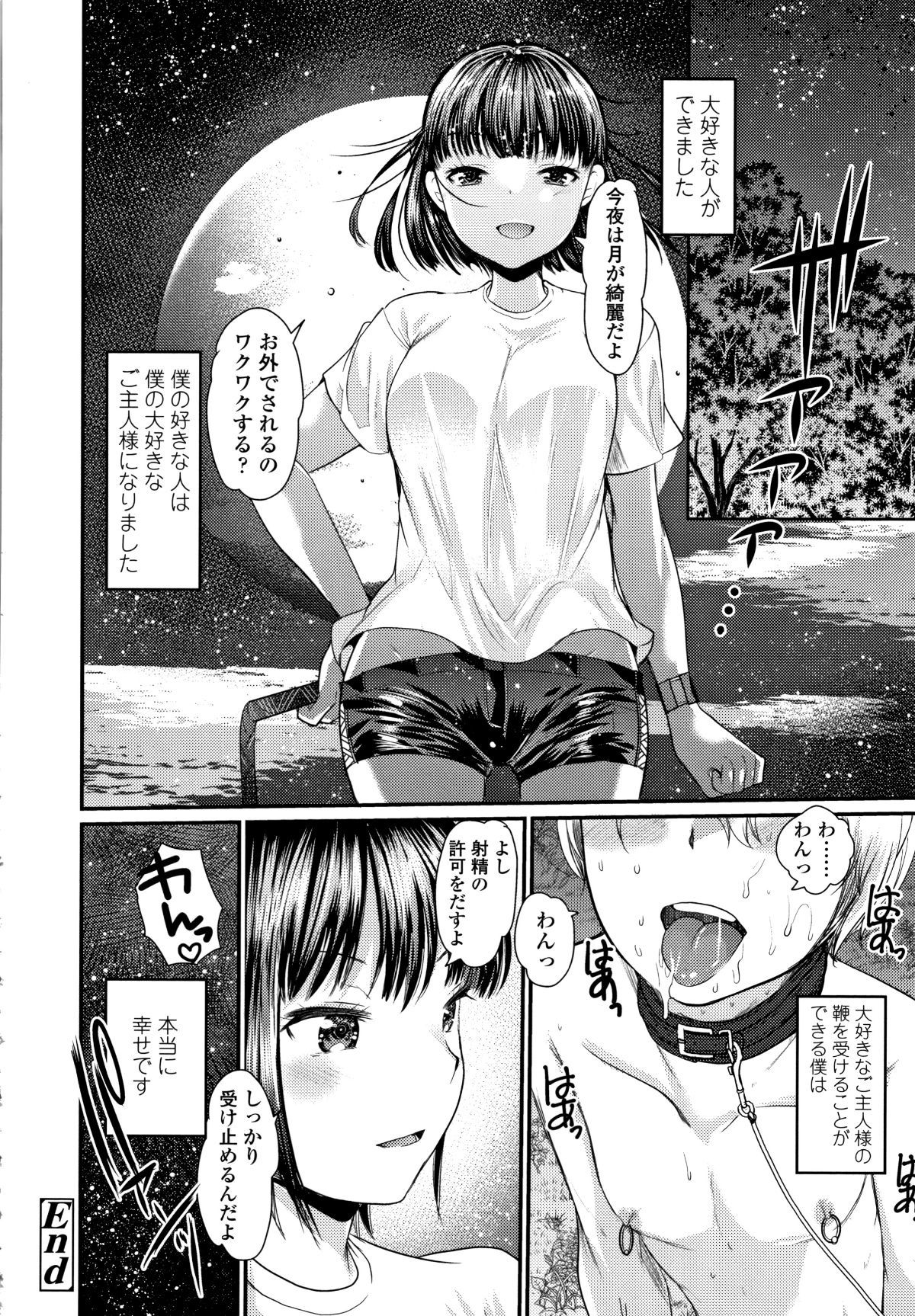 P204