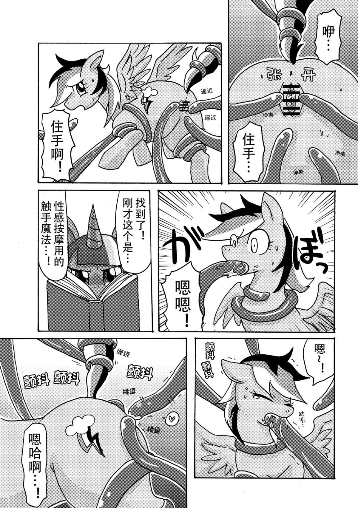 sippaiha_008