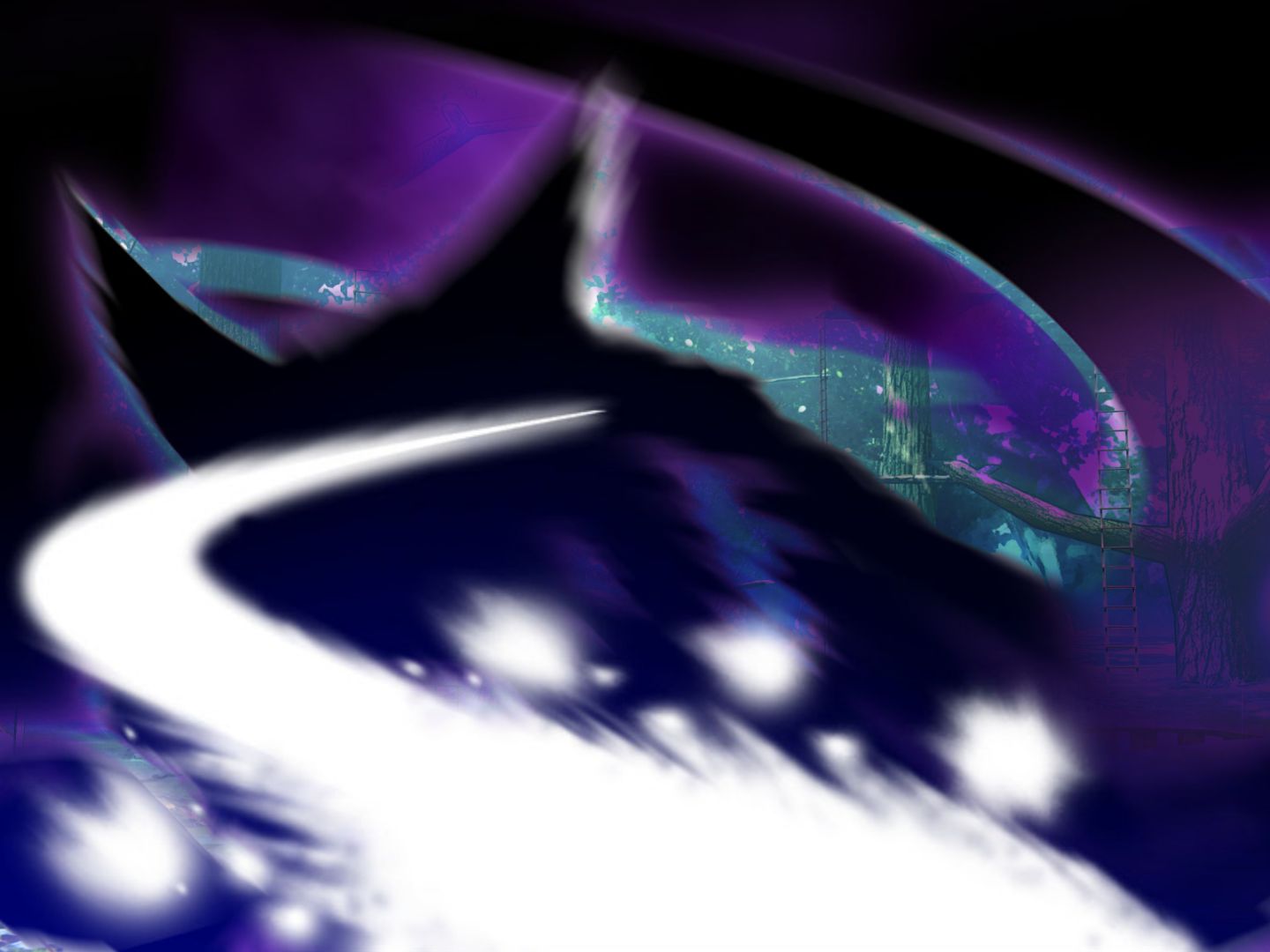 B_002