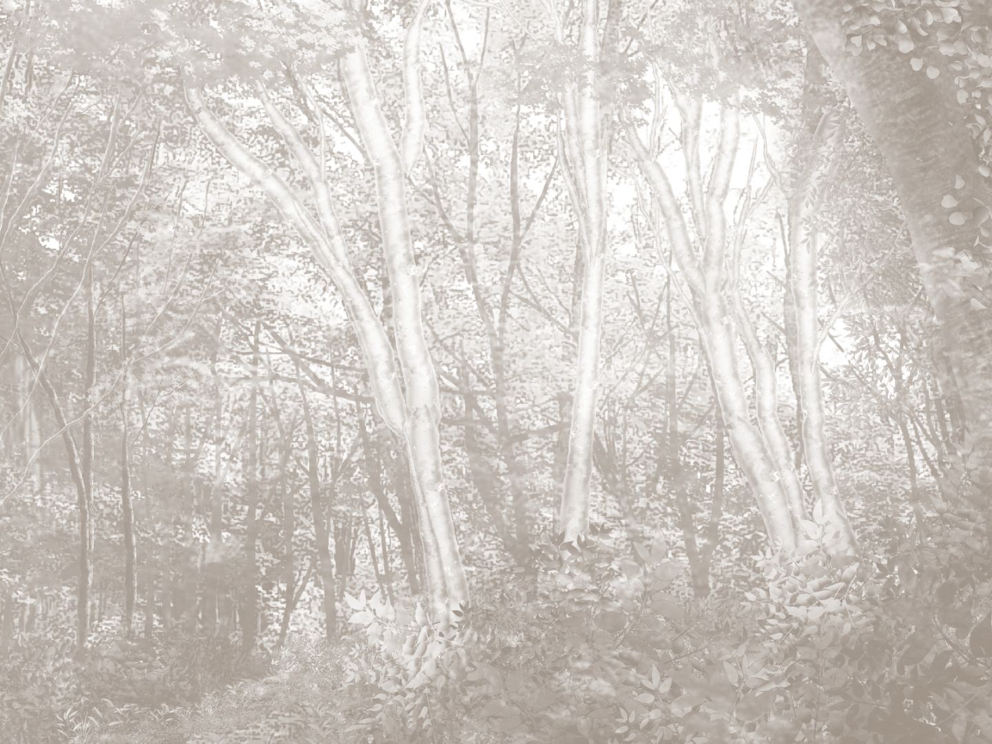 B_362